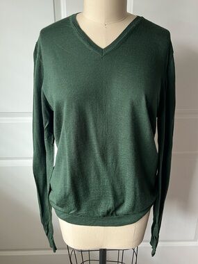 H&M Classic Merino Wool V-Neck Sweater in Forest Green